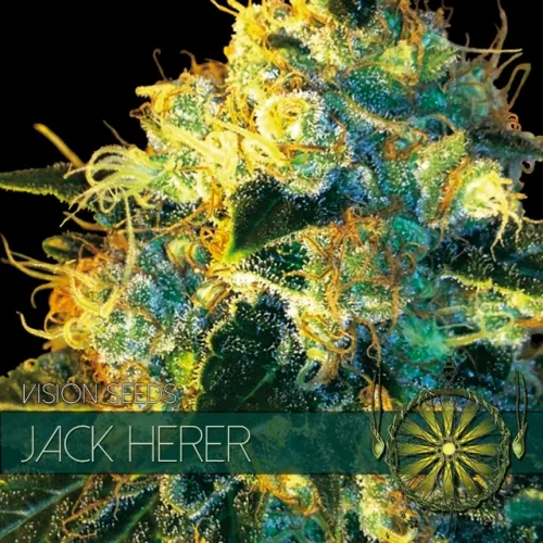 JACK HERER